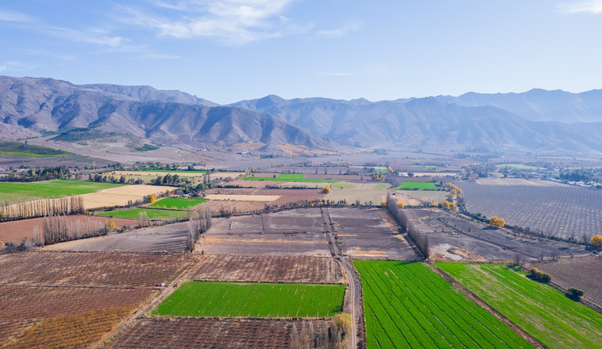 DJI_0591